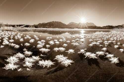 Große Eiskristalle auf dem zugefrorenen Barmsee mit Karwendelgebirge - Eisrosenblüte - Seitenverhältnis 3:2 - Eiskristalle am Barmsee - weitere Infos unter https://www.kriner-weiermann.de