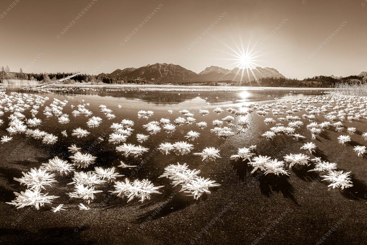 Eisrosenblüte – Seitenverhältnis 3:2 — Eiskristalle am Barmsee Große Eiskristalle auf dem zugefrorenen Barmsee mit Karwendelgebirge
