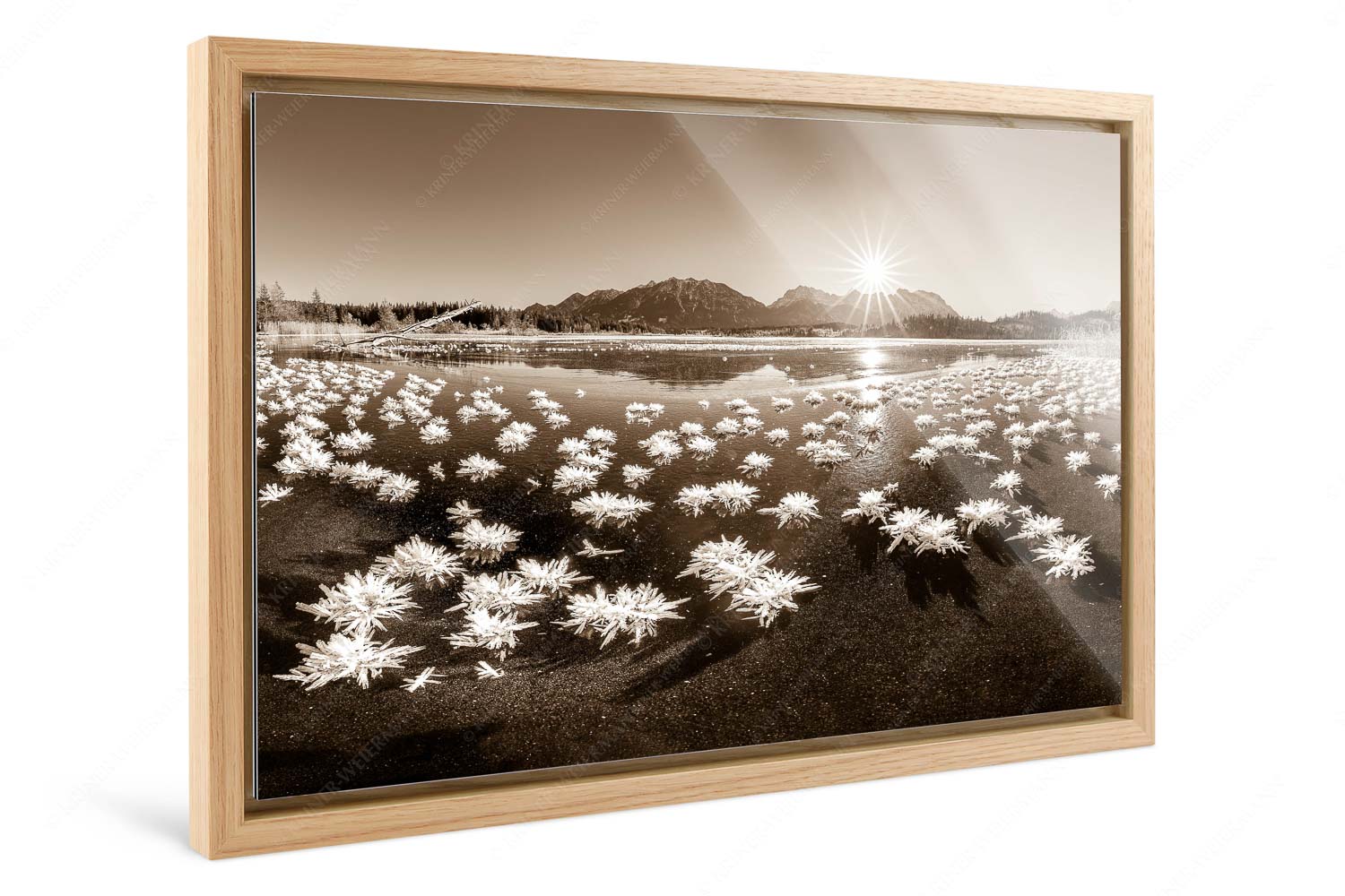 Eisrosenblüte – Foto im Schattenfugen-Rahmen — Eiskristalle am Barmsee Große Eiskristalle auf dem zugefrorenen Barmsee mit Karwendelgebirge - Eisrosenblüte - Foto im Schattenfugen-Rahmen - Eiskristalle am Barmsee - weitere Infos unter https://www.kriner-weiermann.de