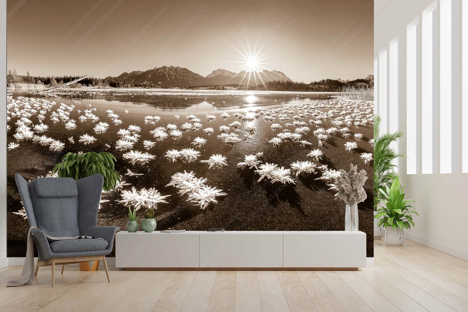 Eisrosenblüte – Größe ca. 300x200cm, Seitenverhältnis 3:2 — Eiskristalle am Barmsee Große Eiskristalle auf dem zugefrorenen Barmsee mit Karwendelgebirge - Eisrosenblüte - Größe ca. 300x200cm, Seitenverhältnis 3:2 - Eiskristalle am Barmsee - weitere Infos unter https://www.kriner-weiermann.de