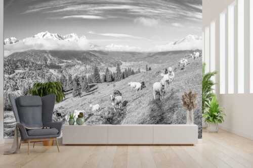 Bergschafe auf der ersten Weide im Frühling bei Garmisch-Partenkirchen mit Blick zum Zugspitzmassiv - Erste Weide - Größe ca. 300x200cm, Seitenverhältnis 3:2 - Schafe bei Garmisch-Partenkirchen - weitere Infos unter https://www.kriner-weiermann.de