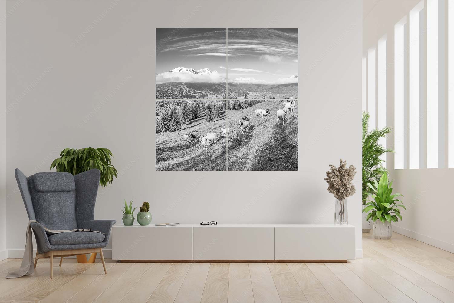 Erste Weide – 4er Split, Größe ca. 180x180cm, Seitenverhältnis 1:1 — Schafe bei Garmisch-Partenkirchen Bergschafe auf der ersten Weide im Frühling bei Garmisch-Partenkirchen mit Blick zum Zugspitzmassiv - Erste Weide - 4er Split, Größe ca. 180x180cm, Seitenverhältnis 1:1 - Schafe bei Garmisch-Partenkirchen - weitere Infos unter https://www.kriner-weiermann.de