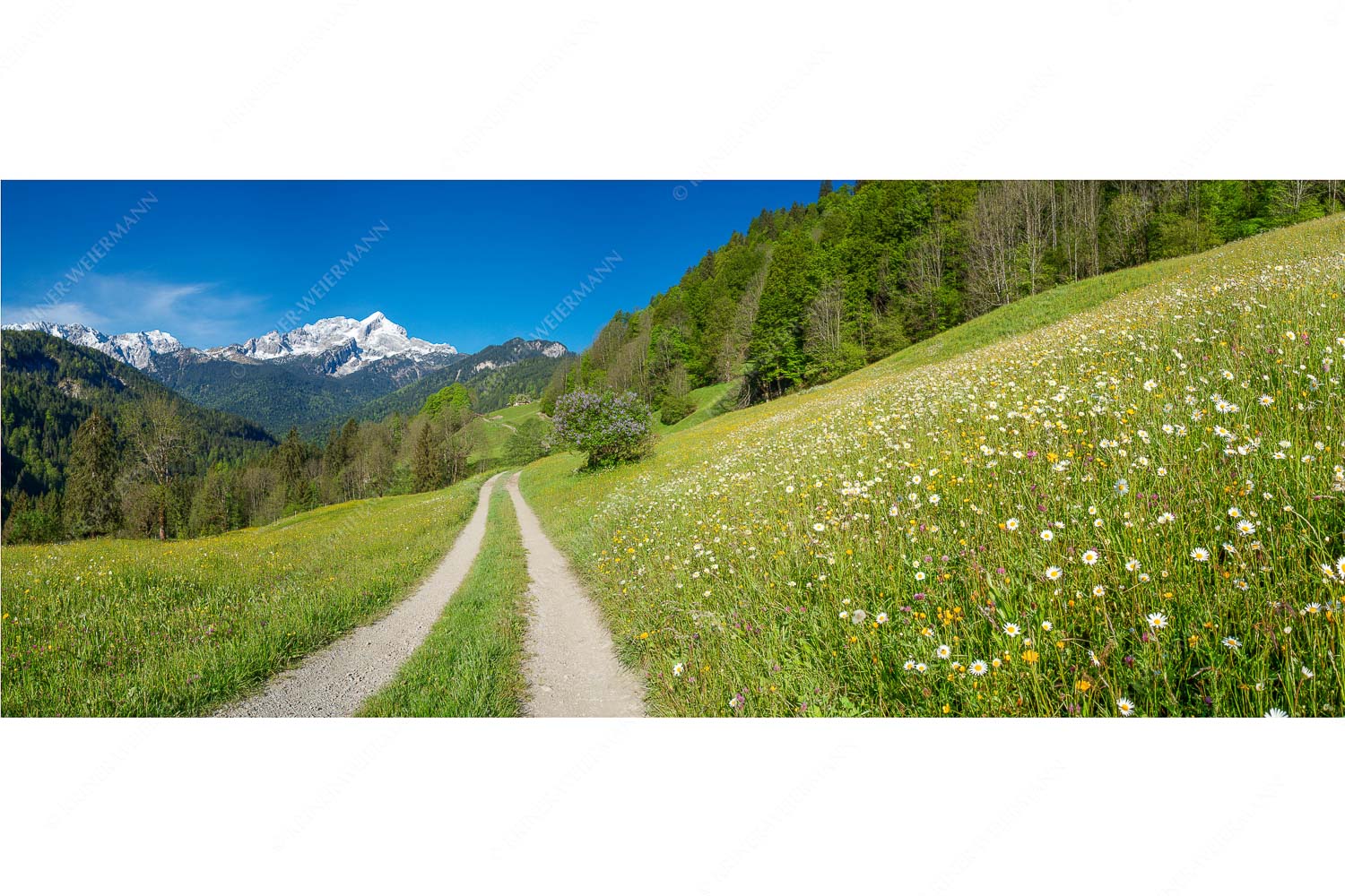 Feldweg – Seitenverhältnis 2,5:1 — Alpspitze mit Hintergraseck Feldweg durch die Bergbauernwiesen unterhalb vom Eckbauern