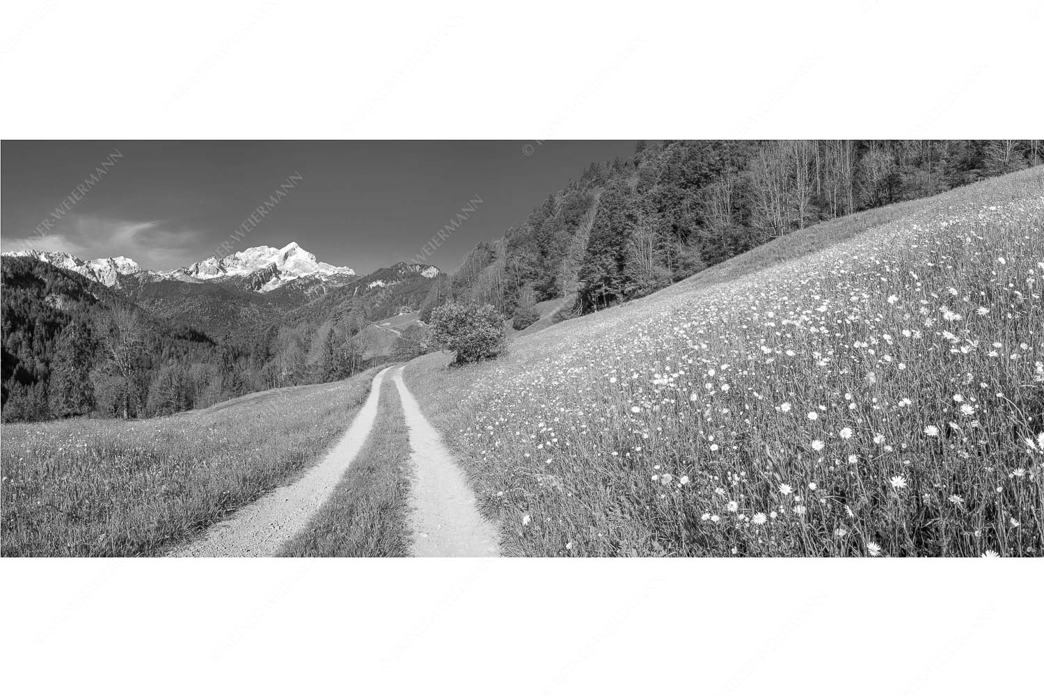 Feldweg – Seitenverhältnis 2,5:1 — Alpspitze mit Hintergraseck Feldweg durch die Bergbauernwiesen unterhalb vom Eckbauern