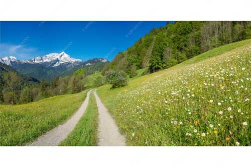 Feldweg durch die Bergbauernwiesen unterhalb vom Eckbauern - Feldweg - Seitenverhältnis 2:1 - Alpspitze mit Hintergraseck - weitere Infos unter https://www.kriner-weiermann.de