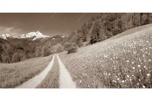 Feldweg durch die Bergbauernwiesen unterhalb vom Eckbauern - Feldweg - Seitenverhältnis 2:1 - Alpspitze mit Hintergraseck - weitere Infos unter https://www.kriner-weiermann.de