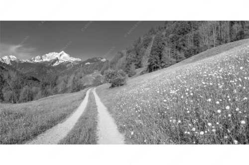 Feldweg durch die Bergbauernwiesen unterhalb vom Eckbauern - Feldweg - Seitenverhältnis 2:1 - Alpspitze mit Hintergraseck - weitere Infos unter https://www.kriner-weiermann.de