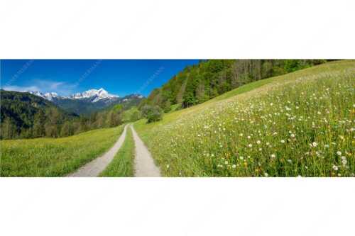 Feldweg durch die Bergbauernwiesen unterhalb vom Eckbauern - Feldweg - Seitenverhältnis 3:1 - Alpspitze mit Hintergraseck - weitere Infos unter https://www.kriner-weiermann.de