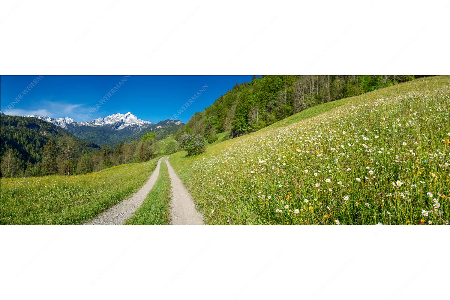 Feldweg durch die Bergbauernwiesen unterhalb vom Eckbauern