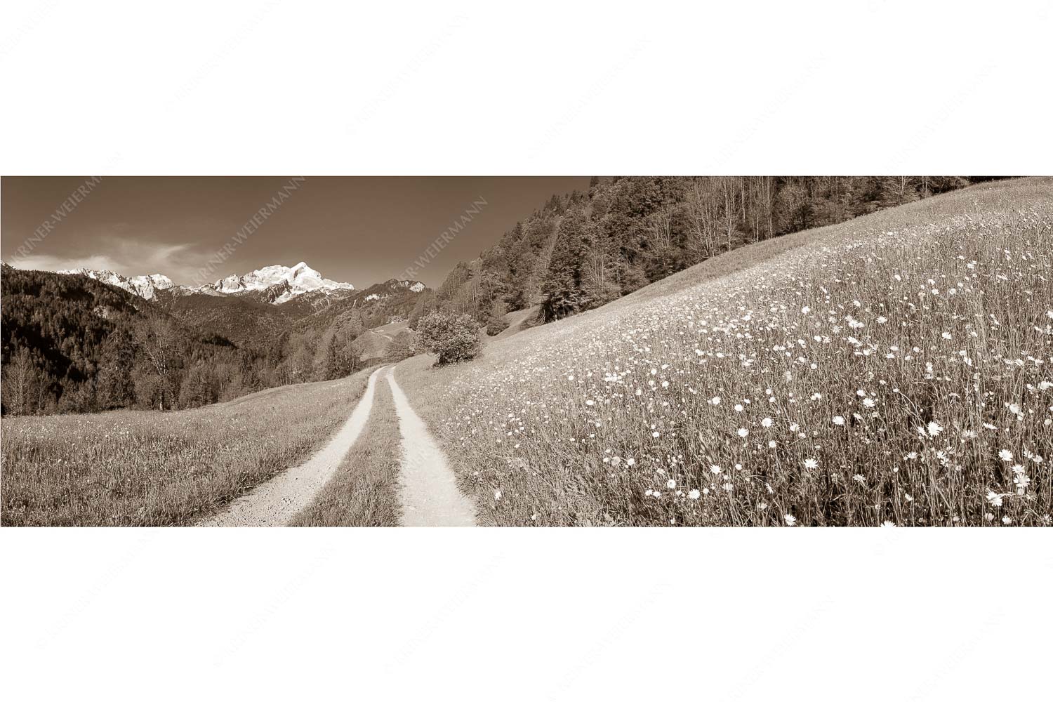 Feldweg – Seitenverhältnis 3:1 — Alpspitze mit Hintergraseck Feldweg durch die Bergbauernwiesen unterhalb vom Eckbauern