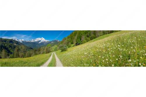 Feldweg durch die Bergbauernwiesen unterhalb vom Eckbauern - Feldweg - Seitenverhältnis 4:1 - Alpspitze mit Hintergraseck - weitere Infos unter https://www.kriner-weiermann.de