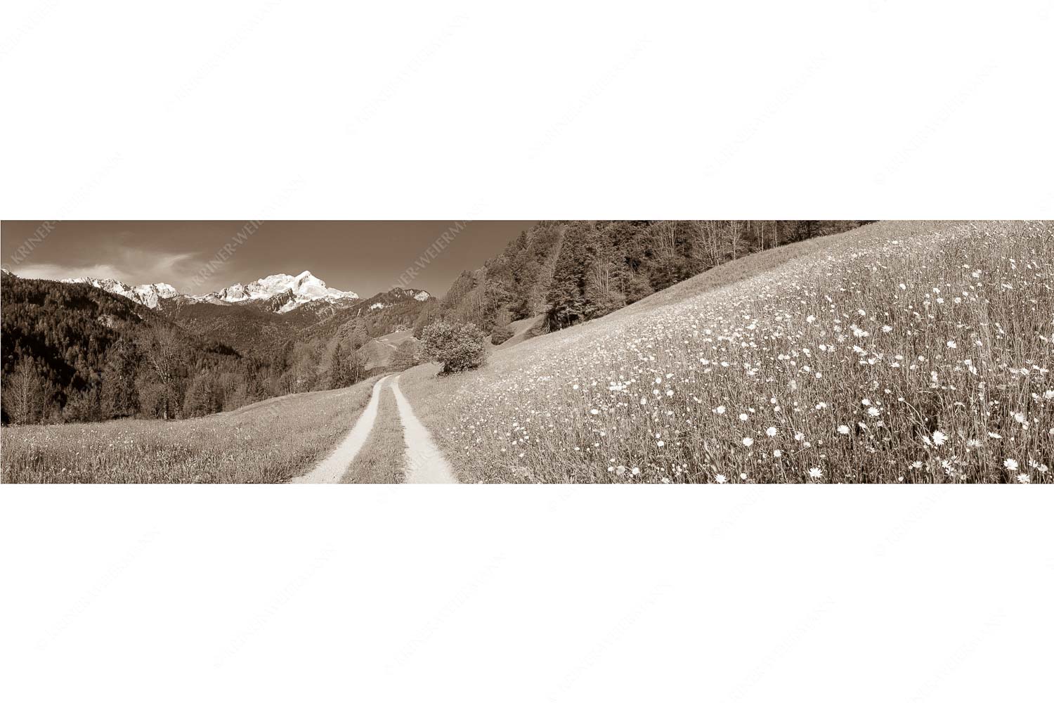 Feldweg – Seitenverhältnis 4:1 — Alpspitze mit Hintergraseck Feldweg durch die Bergbauernwiesen unterhalb vom Eckbauern
