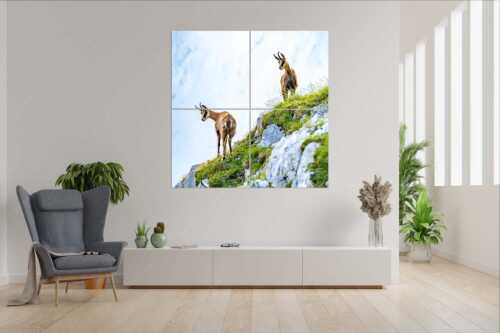 Aufmerksame Gämsen im Karwendelgebirge - Fest im Blick - 4er Split, Größe ca. 180x180cm, Seitenverhältnis 1:1 - Gämsen im Karwendel - weitere Infos unter https://www.kriner-weiermann.de