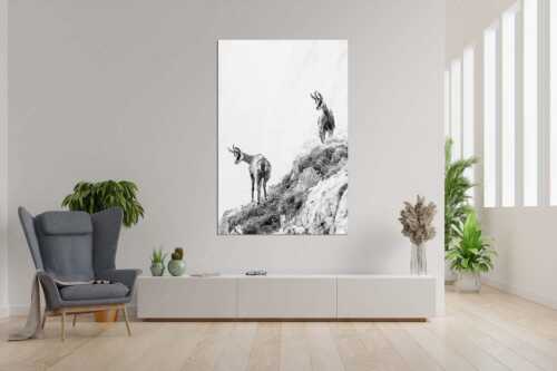 Aufmerksame Gämsen im Karwendelgebirge - Fest im Blick - Größe ca. 120x180cm, Seitenverhältnis 2:3 - Gämsen im Karwendel - weitere Infos unter https://www.kriner-weiermann.de