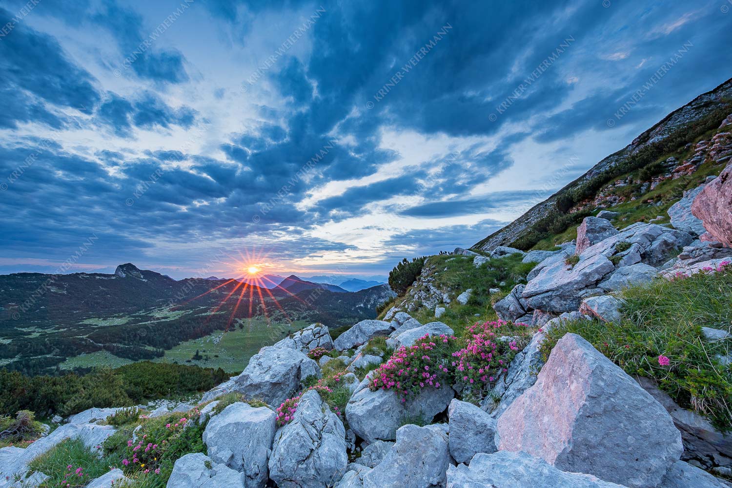 Seitenverhältnis 3:2 — Almrosen im Estergebirge Sonnenaufgang im Estergebirge mit Blick zur Hohen Kiste und Simetsberg