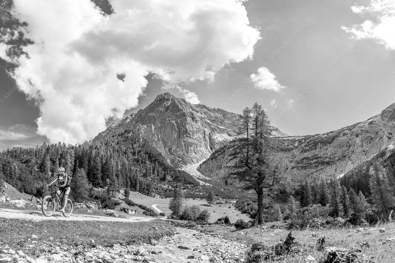 Freudige Abfahrt – Seitenverhältnis 3:2 — Mountainbike Halleranger im Karwendel MTB Fahrerin im Halleranger mit Speckkarspitze im Karwendelgebirge