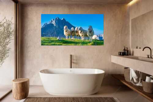 Bergschafe am Frauenalpl mit Partenkirchner Dreitorspitze im Wettersteingebirge - Freundliche Weggefährten - Größe ca. 180x90cm, Seitenverhältnis 2:1 - Schafe mit Dreitorspitze im Wetterstein - weitere Infos unter https://www.kriner-weiermann.de
