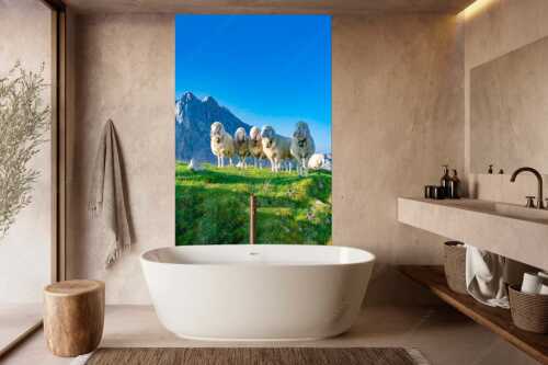 Bergschafe am Frauenalpl mit Partenkirchner Dreitorspitze im Wettersteingebirge - Freundliche Weggefährten - Größe ca. 160x240cm, Seitenverhältnis 2:3 - Schafe mit Dreitorspitze im Wetterstein - weitere Infos unter https://www.kriner-weiermann.de
