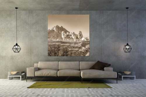Bergschafe am Frauenalpl mit Partenkirchner Dreitorspitze im Wettersteingebirge - Freundliche Weggefährten - Größe ca. 160x160cm, Seitenverhältnis 1:1 - Schafe mit Dreitorspitze im Wetterstein - weitere Infos unter https://www.kriner-weiermann.de