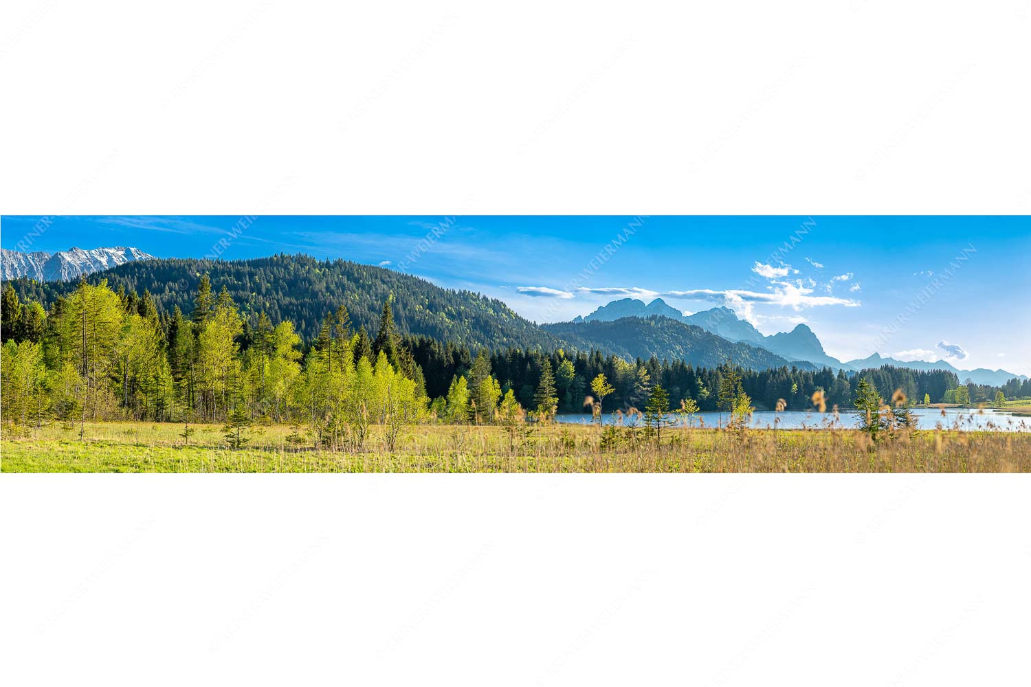 Frische Birken – Seitenverhältnis 4:1 — Geroldsee mit Zugspitzmassiv Blick über den Geroldsee mit Zugspitzmassiv im Wetterstein