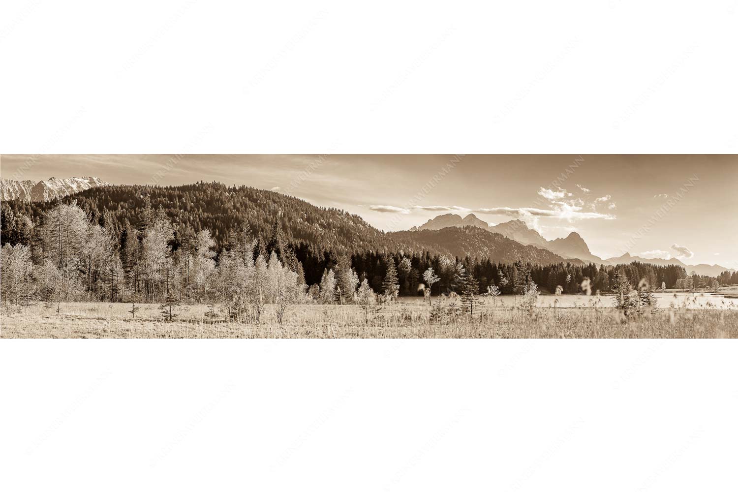Frische Birken – Seitenverhältnis 4:1 — Geroldsee mit Zugspitzmassiv Blick über den Geroldsee mit Zugspitzmassiv im Wetterstein