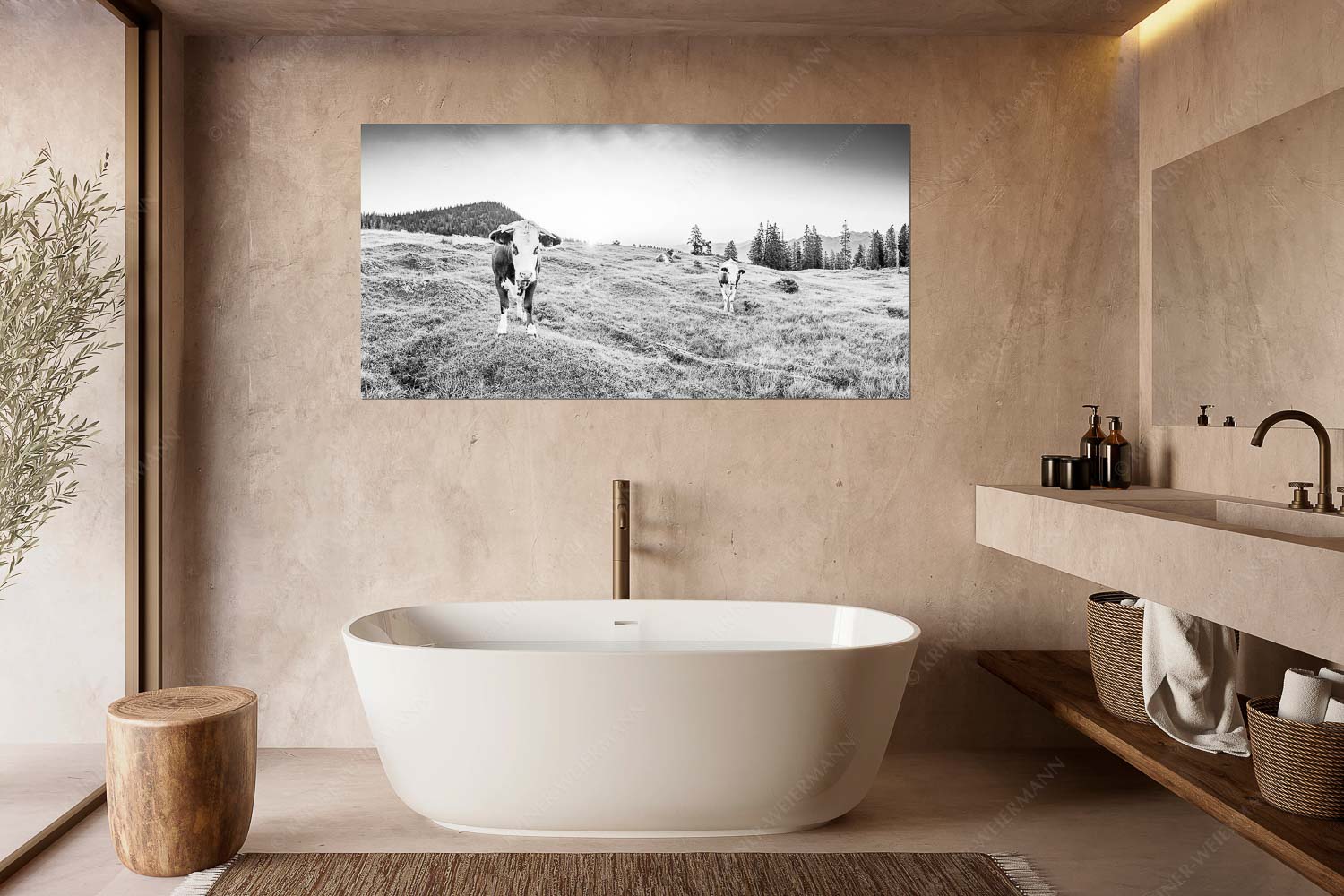 Jungvieh auf der Krüneralm im Estergebirge bei Sonnenaufgang - Frühauf gut drauf - Wandbild - Größe ca. 180x90cm, Seitenverhältnis 2:1 - Junge Rinder auf der Krüneralm - weitere Infos unter https://www.kriner-weiermann.de