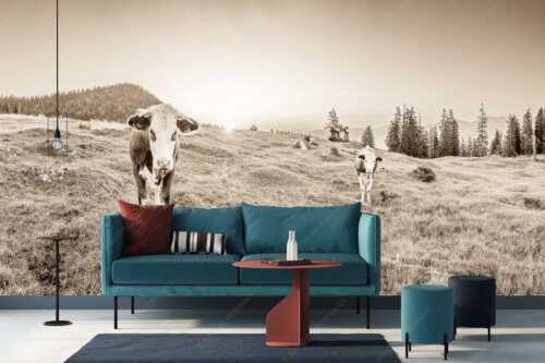 Jungvieh auf der Krüneralm im Estergebirge bei Sonnenaufgang - Frühauf gut drauf - Fototapete - Größe ca. 400x200cm, Seitenverhältnis 2:1 - Junge Rinder auf der Krüneralm - weitere Infos unter https://www.kriner-weiermann.de