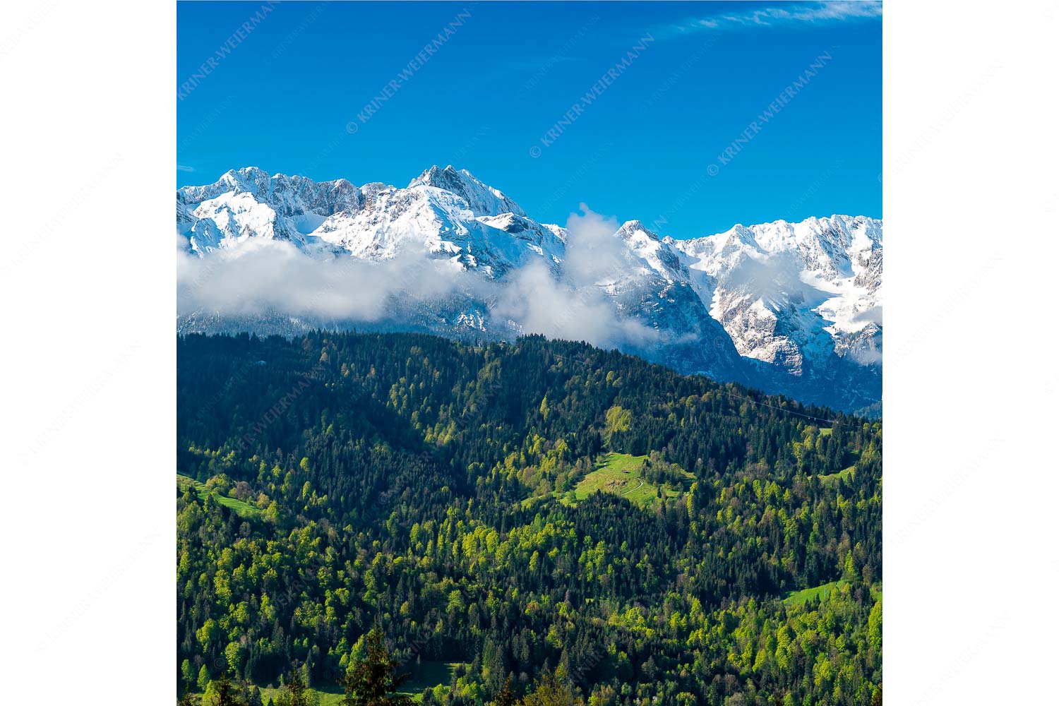 Frühling und Winter – Seitenverhältnis 1:1 — Dreitorspitzen im Wetterstein Erstes Grün im Tal und frischer Schnee auf den Bergen im Wettersteingebirge