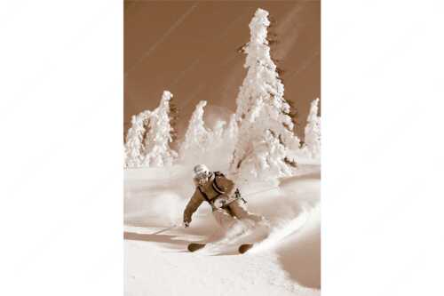 Pulverschnee zwischen angeraumten Bäumen - Fun - Seitenverhältnis 2:3 - Freeride Skifahren - weitere Infos unter https://www.kriner-weiermann.de