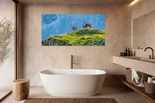 Gämsen mit Kitz im Karwendelgebirge - Gamslan - Größe ca. 180x90cm, Seitenverhältnis 2:1 - Gämsen im Karwendel - weitere Infos unter https://www.kriner-weiermann.de