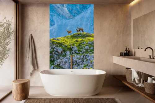Gämsen mit Kitz im Karwendelgebirge - Gamslan - Größe ca. 160x240cm, Seitenverhältnis 2:3 - Gämsen im Karwendel - weitere Infos unter https://www.kriner-weiermann.de