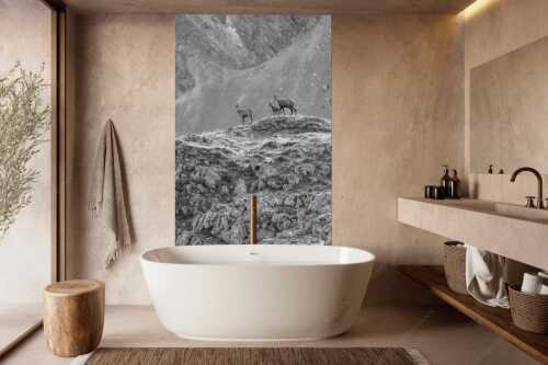 Gämsen mit Kitz im Karwendelgebirge - Gamslan - Größe ca. 160x240cm, Seitenverhältnis 2:3 - Gämsen im Karwendel - weitere Infos unter https://www.kriner-weiermann.de
