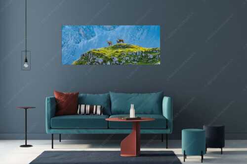 Gämsen mit Kitz im Karwendelgebirge - Gamslan - Größe ca. 175x70cm, Seitenverhältnis 2,5:1 - Gämsen im Karwendel - weitere Infos unter https://www.kriner-weiermann.de