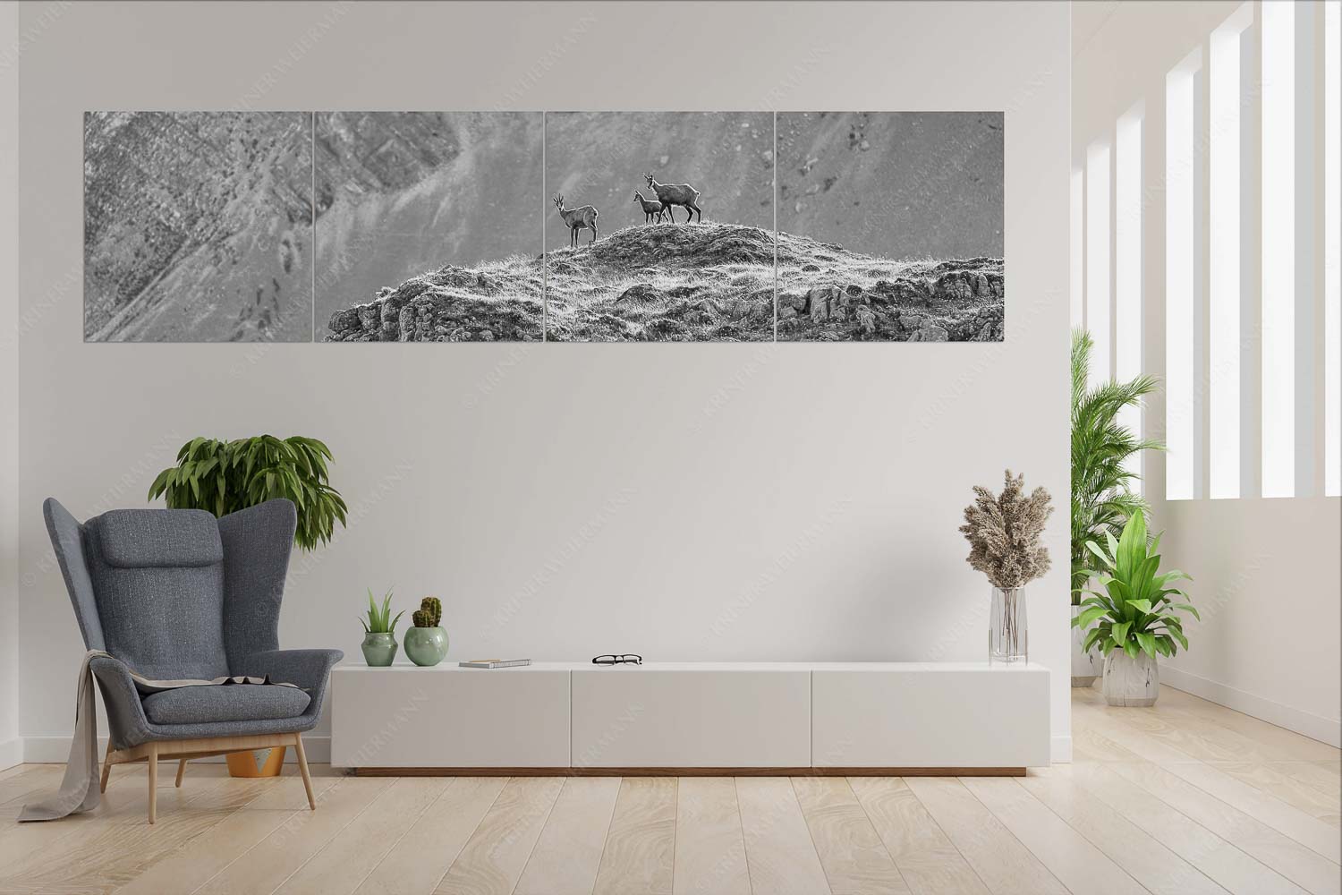 Gamslan – 4er Split, Größe ca. 280x70cm, Seitenverhältnis 4:1 — Gämsen im Karwendel Gämsen mit Kitz im Karwendelgebirge - Gamslan - 4er Split, Größe ca. 280x70cm, Seitenverhältnis 4:1 - Gämsen im Karwendel - weitere Infos unter https://www.kriner-weiermann.de