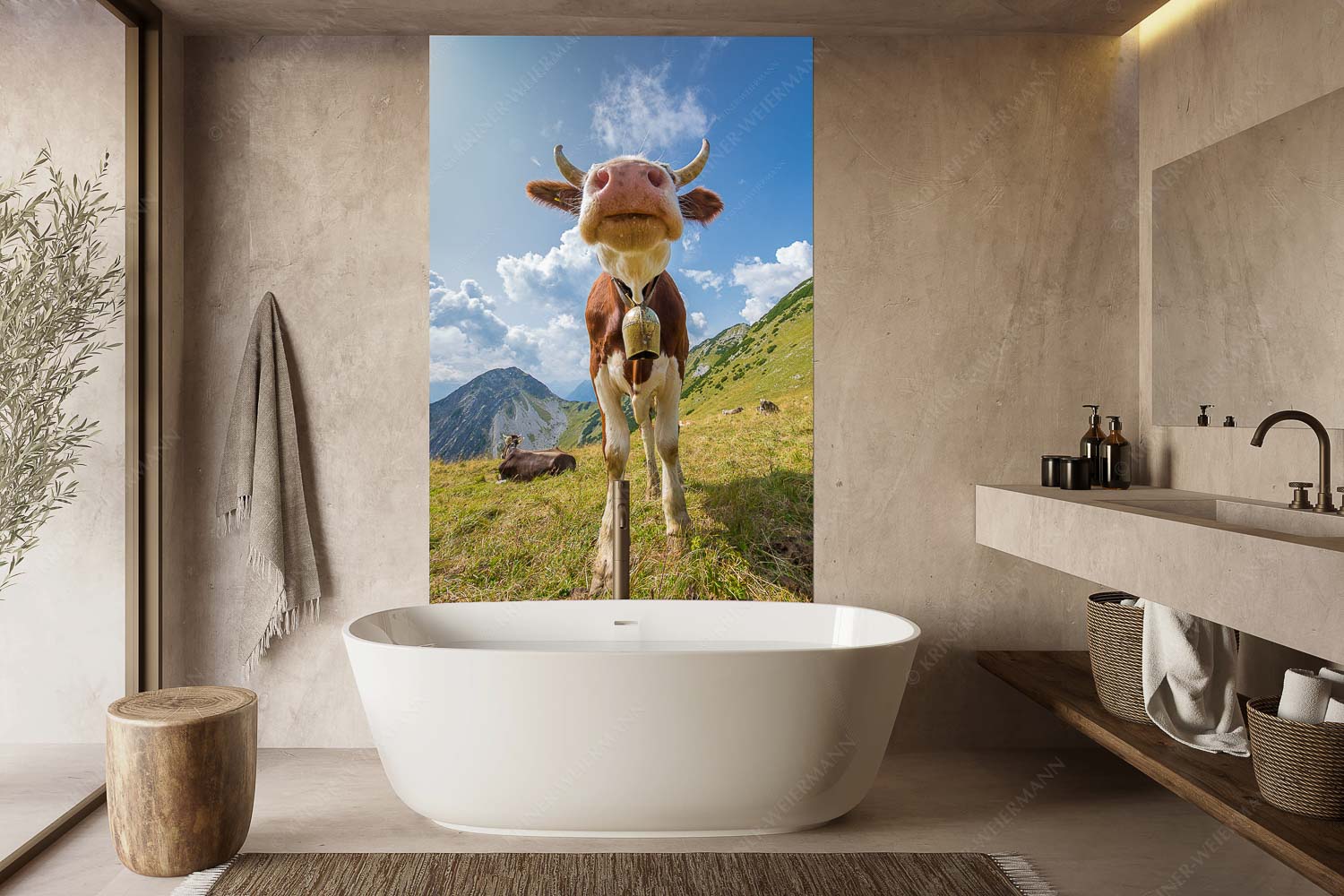 Jungvieh bei der Weilheimerhütte im Estergebirge - Gestatten - Größe ca. 160x240cm, Seitenverhältnis 2:3 - Jungvieh im Estergebirge - weitere Infos unter https://www.kriner-weiermann.de