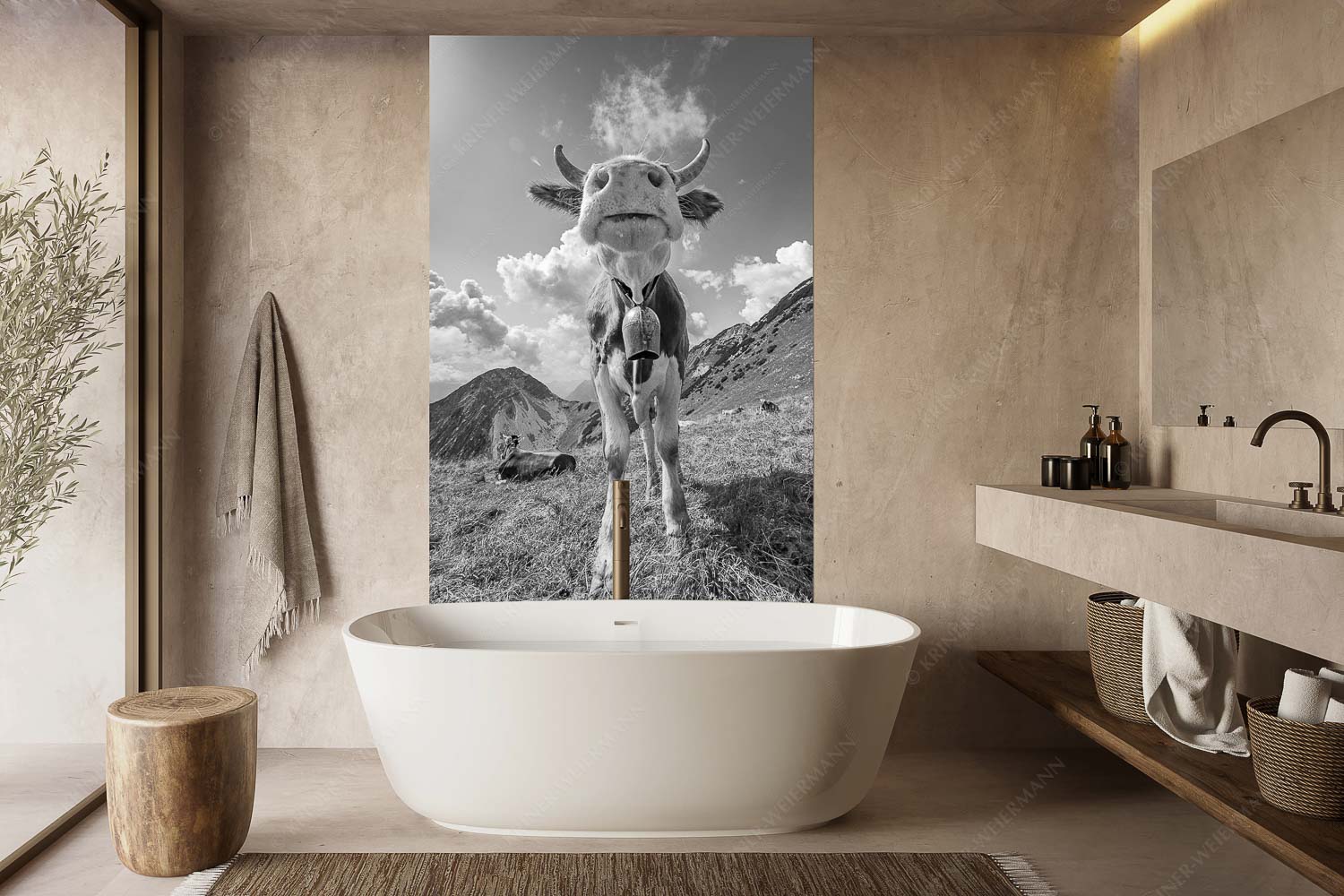 Jungvieh bei der Weilheimerhütte im Estergebirge - Gestatten - Größe ca. 160x240cm, Seitenverhältnis 2:3 - Jungvieh im Estergebirge - weitere Infos unter https://www.kriner-weiermann.de