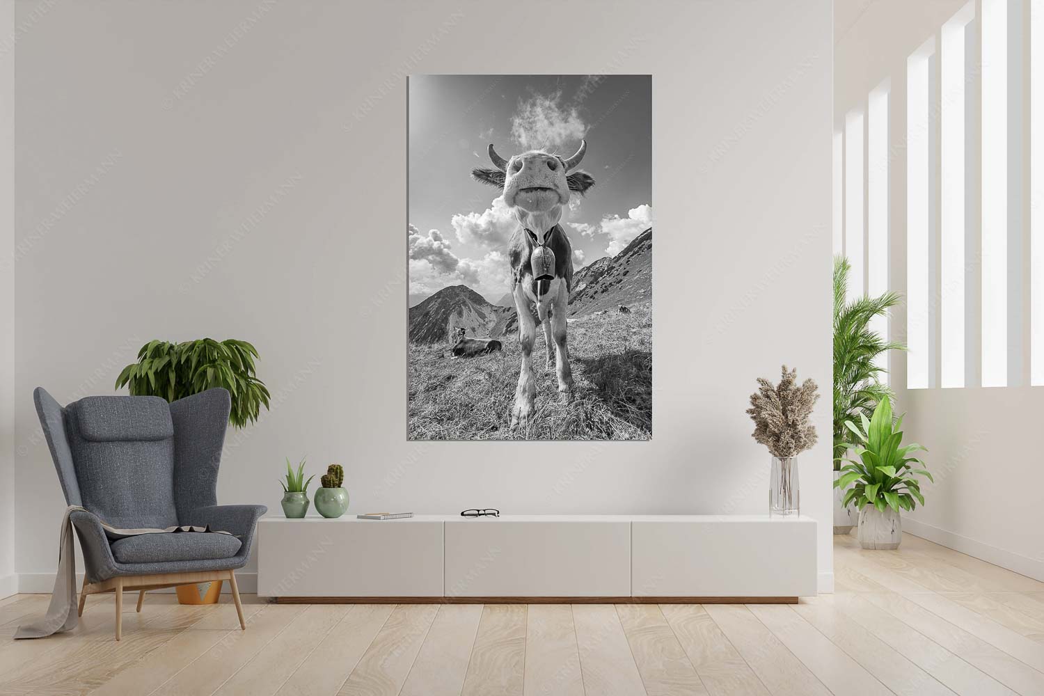 Gestatten – Größe ca. 120x180cm, Seitenverhältnis 2:3 — Jungvieh im Estergebirge Jungvieh bei der Weilheimerhütte im Estergebirge - Gestatten - Größe ca. 120x180cm, Seitenverhältnis 2:3 - Jungvieh im Estergebirge - weitere Infos unter https://www.kriner-weiermann.de