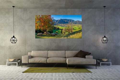 Schafe bei Oberammergau mit Kofel im Ammergebirge - Goldener Oktober - Größe ca. 200x100cm, Seitenverhältnis 2:1 - Schafe bei Oberammergau - weitere Infos unter https://www.kriner-weiermann.de
