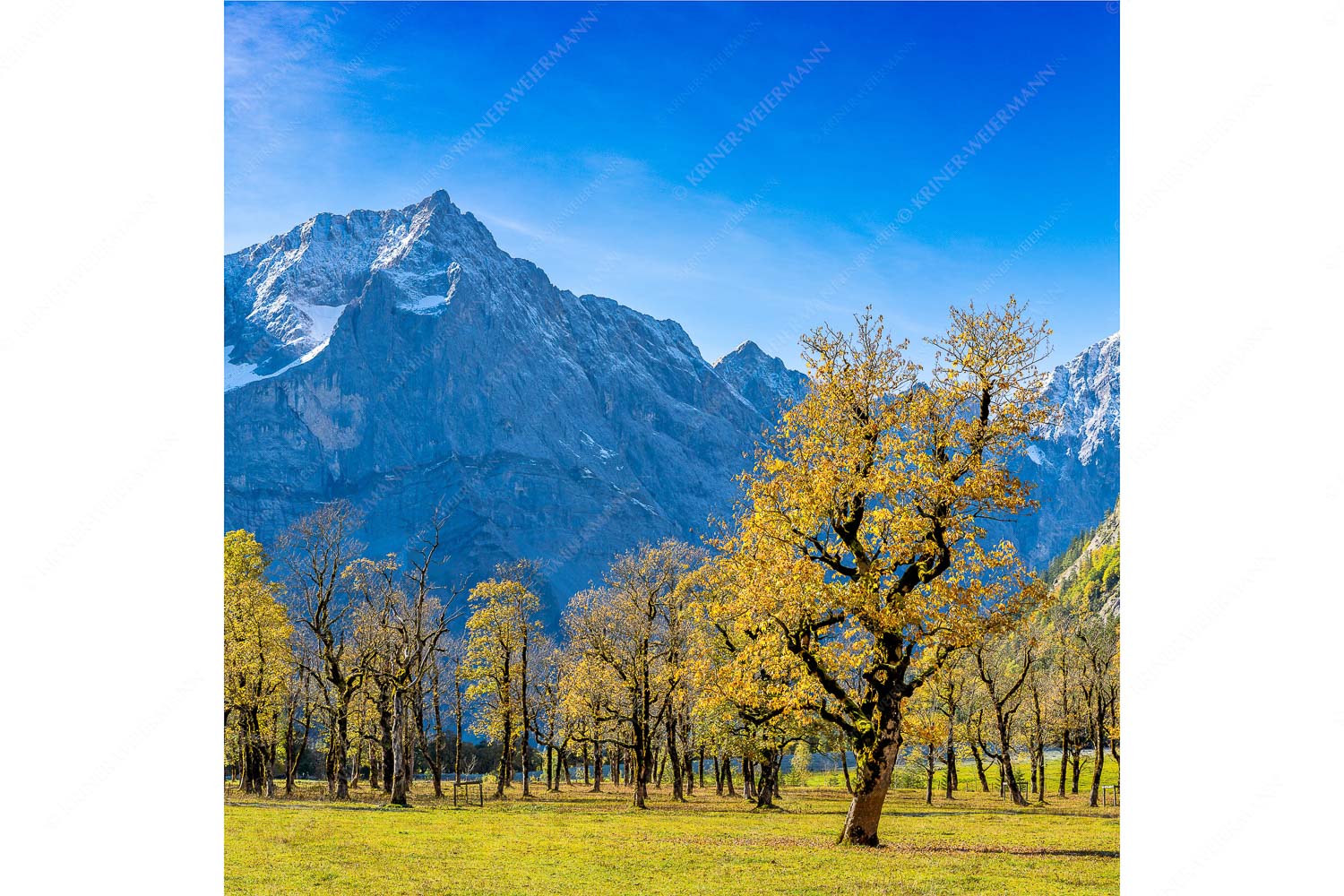 Goldgrube – Seitenverhältnis 1:1 — Herbstfärbung am Ahornboden Blick über Großen Ahornboden zur Spritzkarspitze im Karwendelgebirge