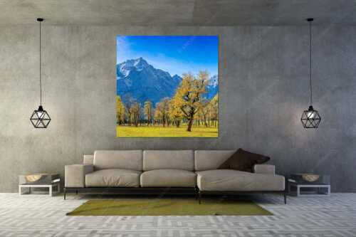 Blick über Großen Ahornboden zur Spritzkarspitze im Karwendelgebirge - Goldgrube - Größe ca. 160x160cm, Seitenverhältnis 1:1 - Herbstfärbung am Ahornboden - weitere Infos unter https://www.kriner-weiermann.de