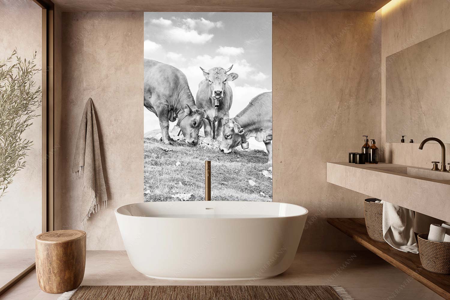 Gschlecki – Größe ca. 160x240cm, Seitenverhältnis 2:3 — Murnau-Werdenfelser Rinder Junge Werdenfelser Rinder auf der Kuhalm im Estergebirge - Gschlecki - Größe ca. 160x240cm, Seitenverhältnis 2:3 - Murnau-Werdenfelser Rinder - weitere Infos unter https://www.kriner-weiermann.de