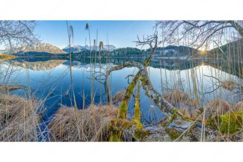 Letzes Sonnelicht am Barmsee - Gstrüp - Seitenverhältnis 2:1 - Wildes Barmsee Ufer - weitere Infos unter https://www.kriner-weiermann.de