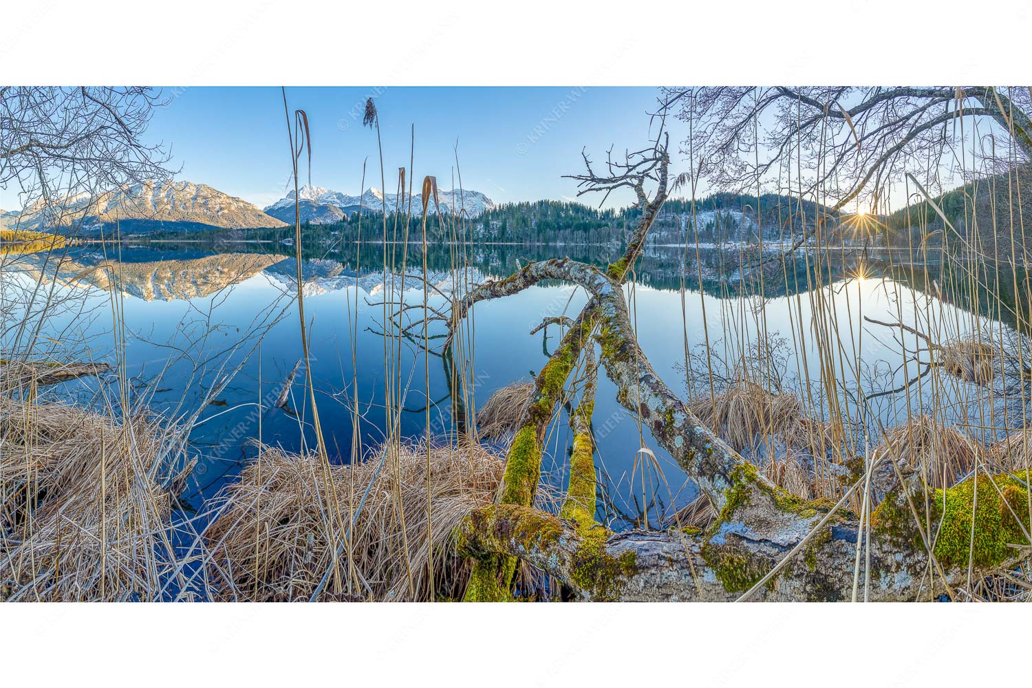 Gstrüp – Seitenverhältnis 2:1 — Wildes Barmsee Ufer Letzes Sonnelicht am Barmsee