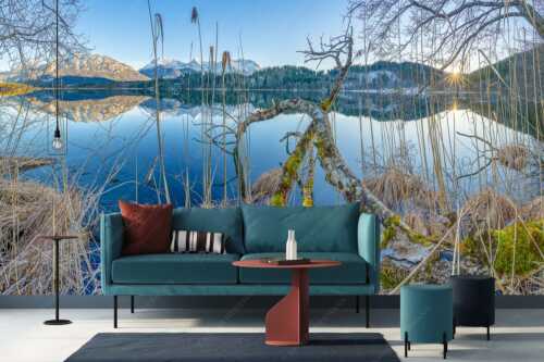 Letzes Sonnelicht am Barmsee - Gstrüp - Größe ca. 400x200cm, Seitenverhältnis 2:1 - Wildes Barmsee Ufer - weitere Infos unter https://www.kriner-weiermann.de