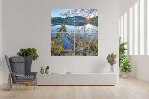 Letzes Sonnelicht am Barmsee - Gstrüp - 4er Split, Größe ca. 180x180cm, Seitenverhältnis 1: - Wildes Barmsee Ufer - weitere Infos unter https://www.kriner-weiermann.de