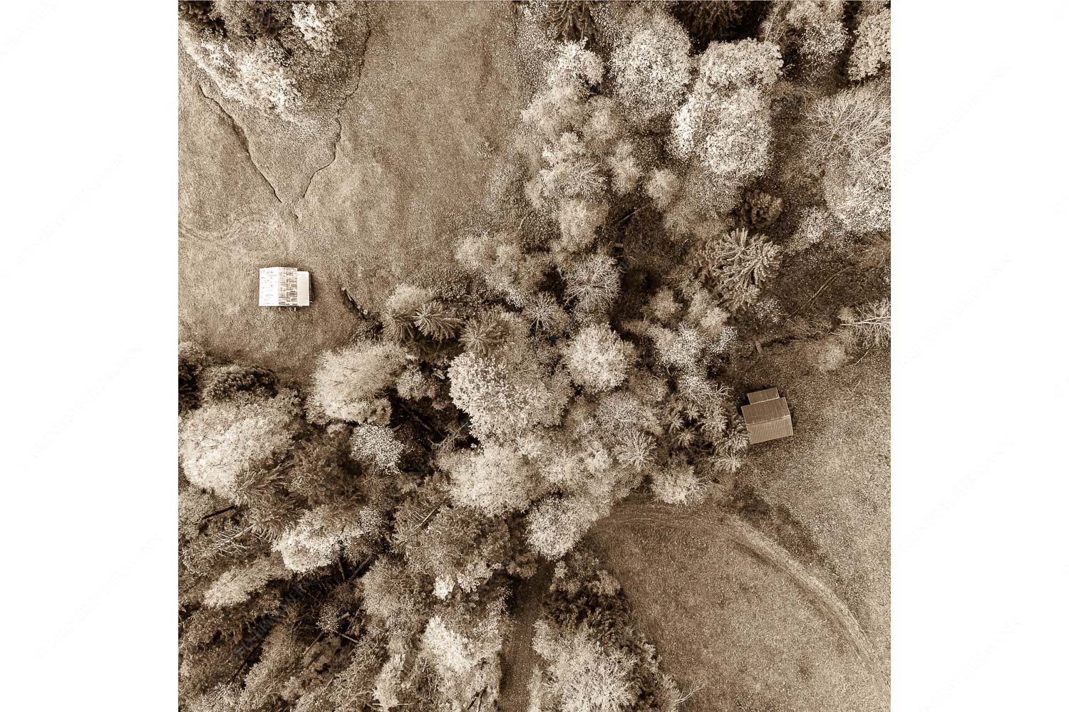 Gsunds Verhältnis – Seitenverhältnis 1:1 — Herbst-Wald von Oben Bergmischwald mit Wiesmahd im Werdenfelser Land