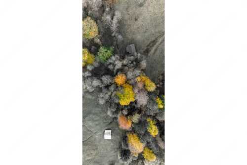 Bergmischwald mit Wiesmahd im Werdenfelser Land - Gsunds Verhältnis - Seitenverhältnis 1:2 - Herbst-Wald von Oben - weitere Infos unter https://www.kriner-weiermann.de
