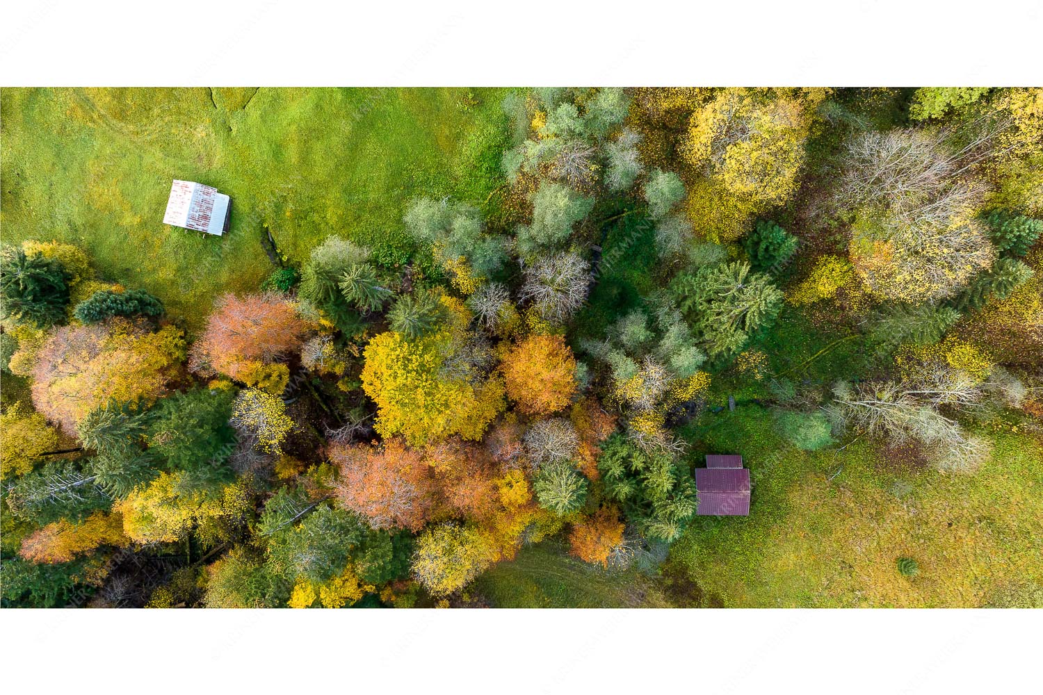 Bergmischwald mit Wiesmahd im Werdenfelser Land