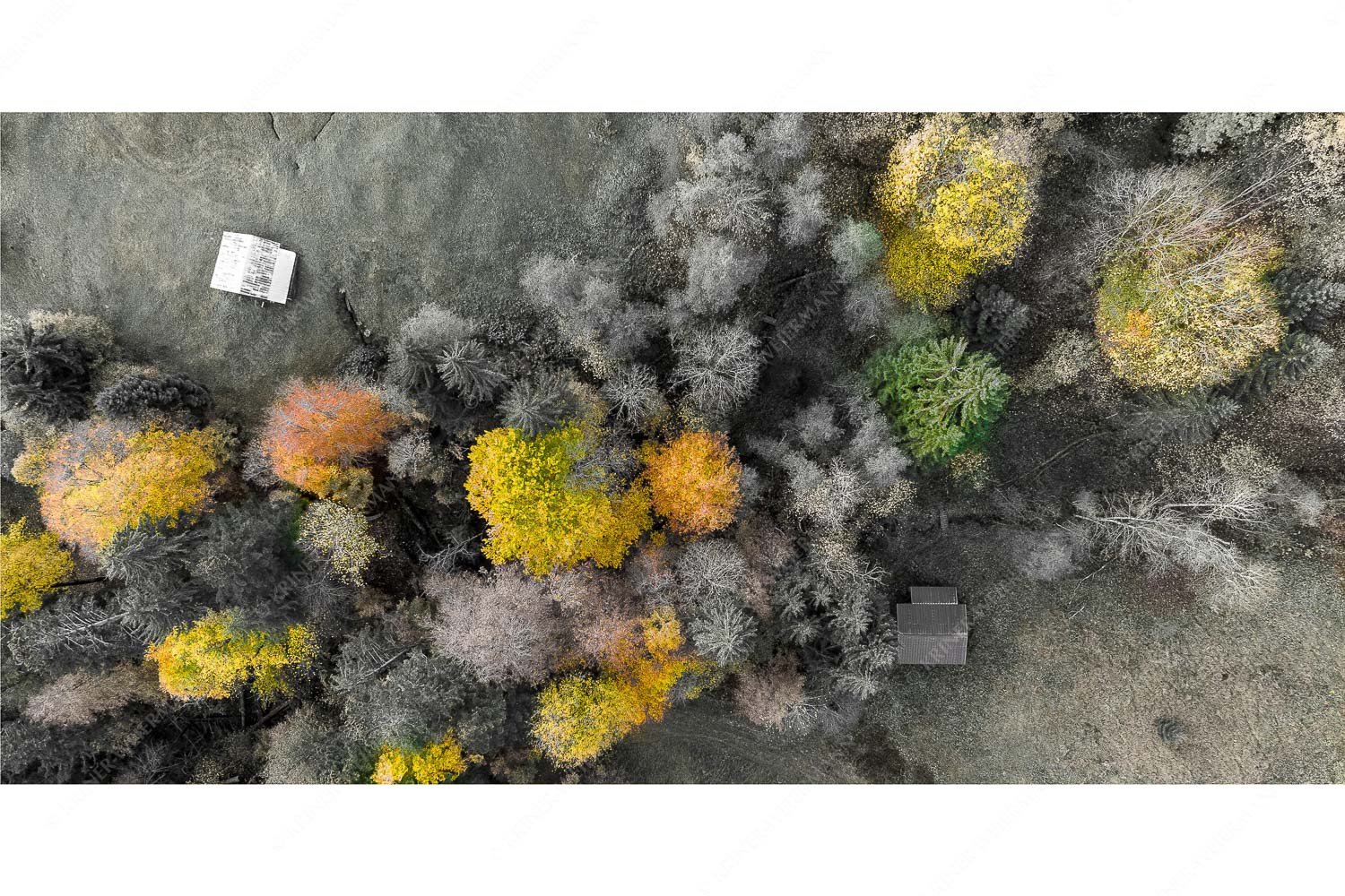 Bergmischwald mit Wiesmahd im Werdenfelser Land