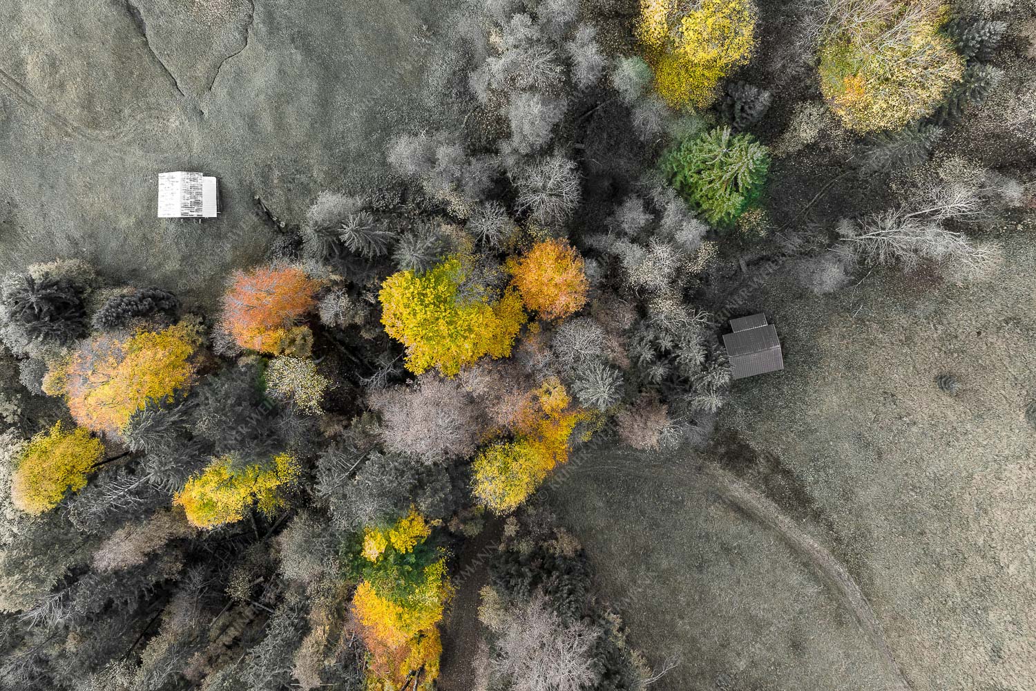 Gsunds Verhältnis – Seitenverhältnis 3:2 — Herbst-Wald von Oben Bergmischwald mit Wiesmahd im Werdenfelser Land
